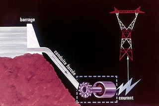Illustration for article titled How Do Cells Manage To Obey The Laws of Physics?